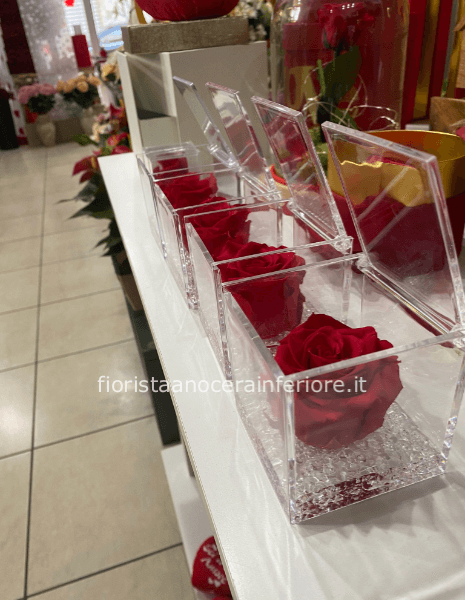 rose stabilizzate in cofanetto trasparente