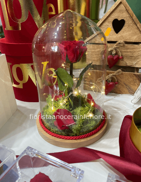 rosa stabilizzata in campana di vetro