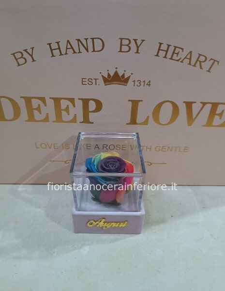 rosa stabilizzata multicolor