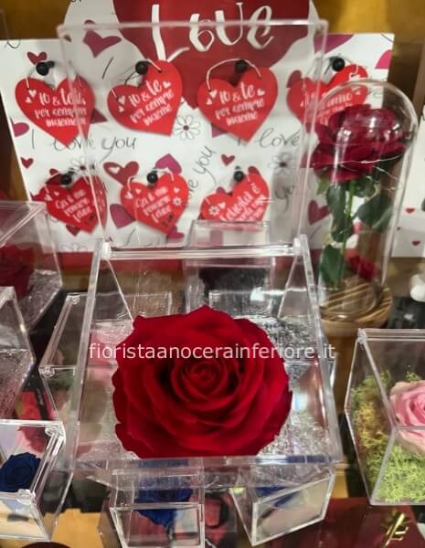 rosa stabilizzata in cofanetto trasparente