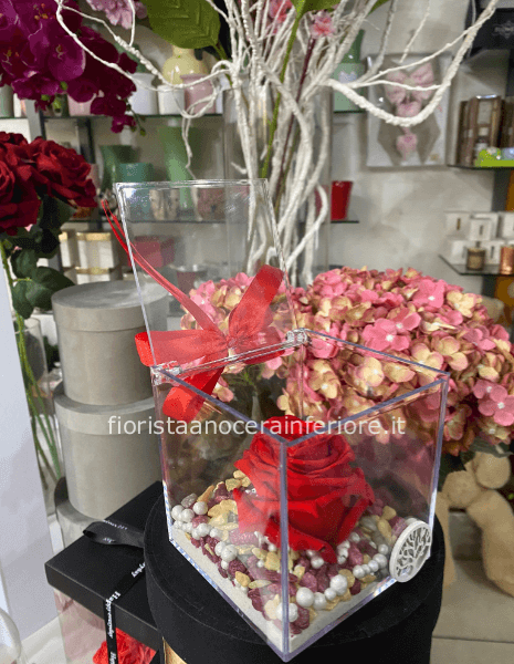 rosa stabilizzata in cofanetto trasparente