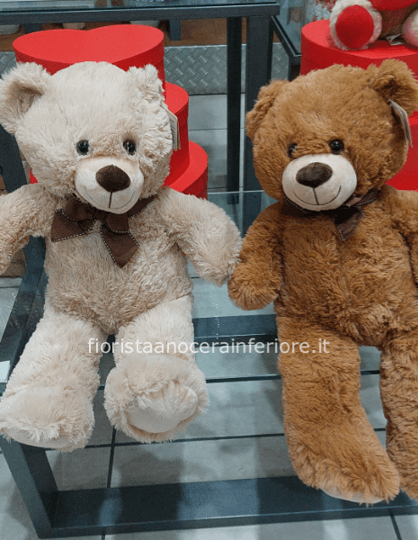Peluche Teddy Bear