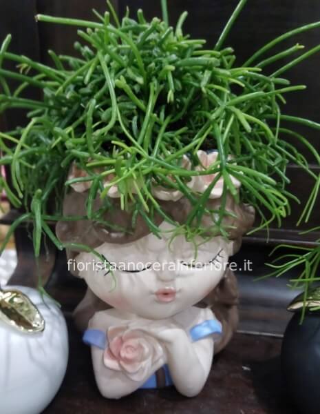 Eleganza verde ( cactus corallo )