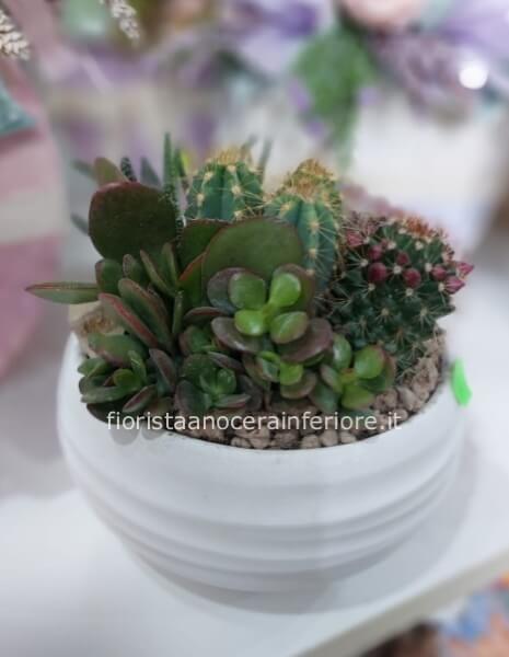 Oasi della Serenità – Composizione di Grasse